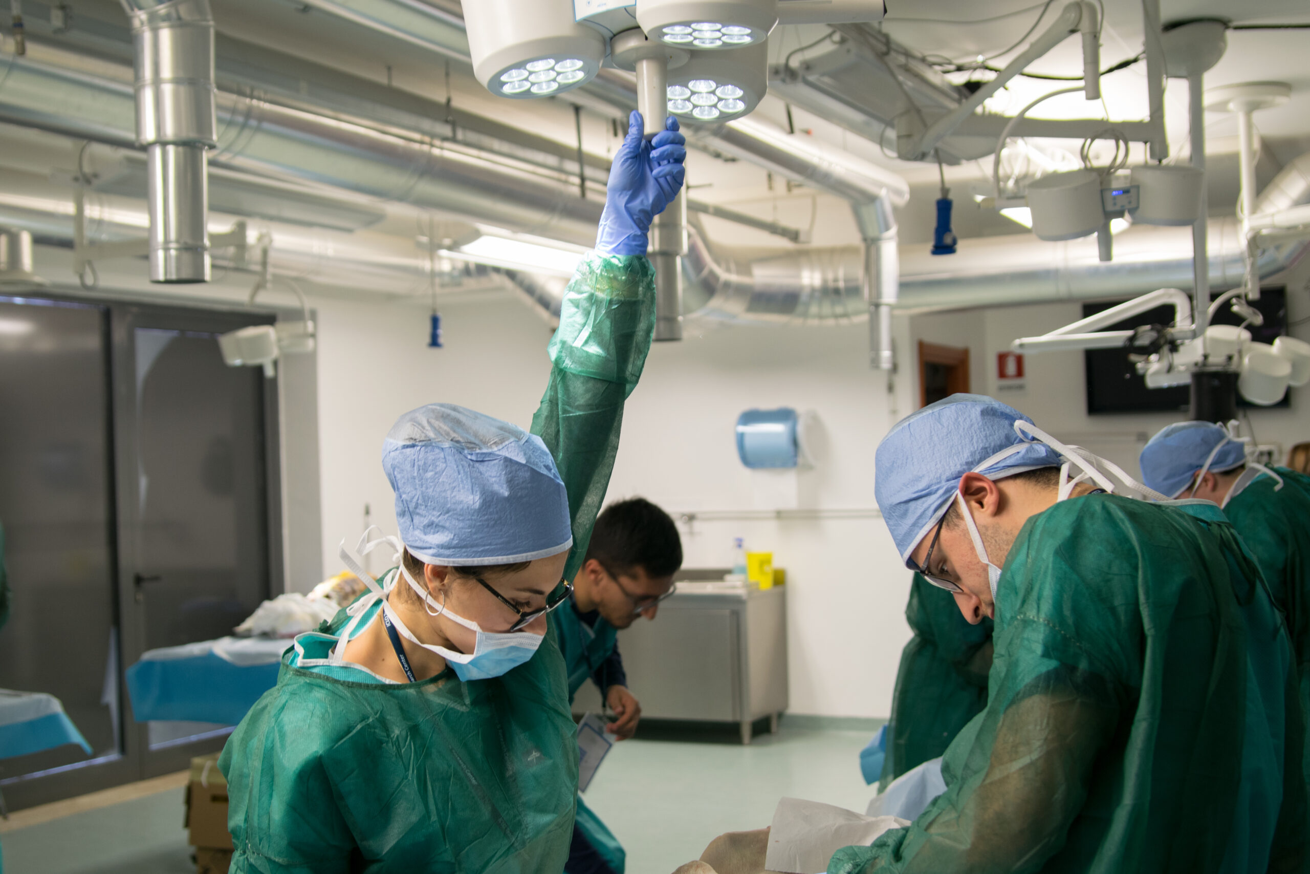 Esplorando il corpo umano: laboratorio di dissezione anatomica