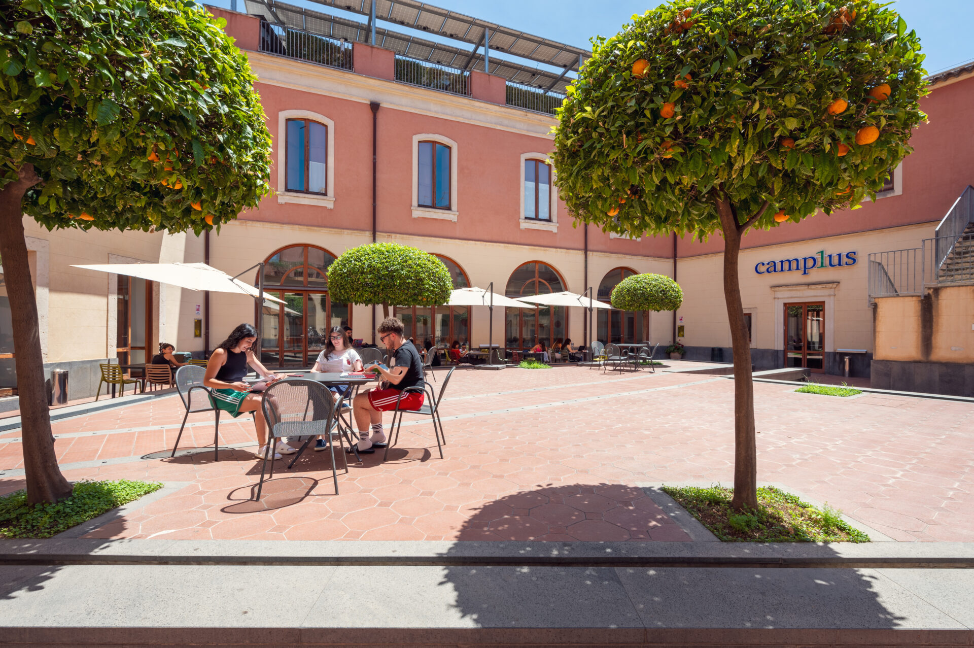 Camplus Catania D'Aragona