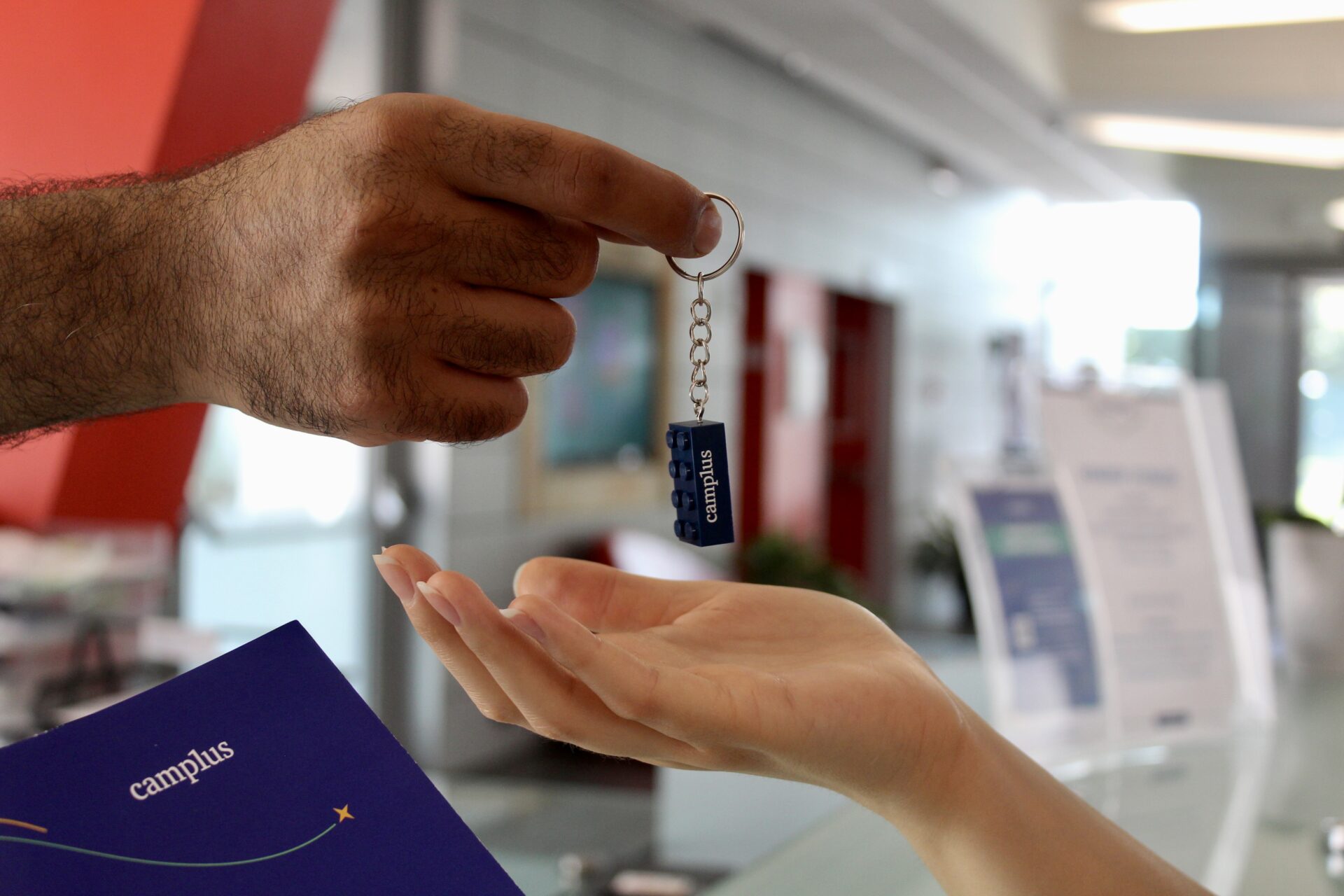 SCOPRI COME ACCEDERE